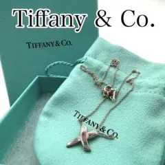 Tiffany & Co. パロマ・ピカソ キス ネックレス - メルカリ