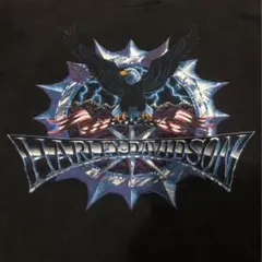 ハーレーダビッドソン Tシャツ サンダープリント　90s〜