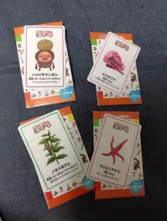 こびとづかん　EXPО会場限定　こびと大図鑑　トレーディングカード　4種