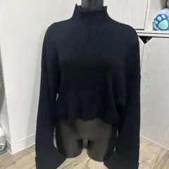 ZARAハイネック クロップドセーター　ショート丈