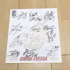 THE ROOSTERZ 直筆サイン色紙 ルースターズ 大江慎也 花田裕之 - メルカリ