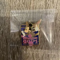 ディズニーランド★2001 ピンバッジ　新品