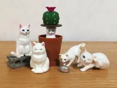 白猫 5匹セット