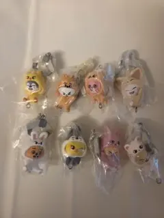 SKZOO つまんでつなげてますこっと2 8種　コンプセット