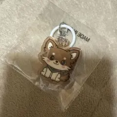 INFINITYMOON 登坂広臣ØMI めじるしチャーム メイト 三代目