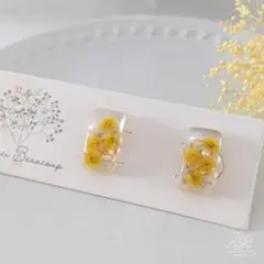 春色♪採りたてミモザのピアス　イヤリング