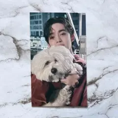 SEVENTEEN エスクプス