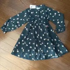 Item thumbnail for item 8e95fc1f-18e8-4cd6-8ba9-bb8a816f0a35