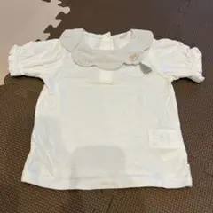 ◎コトリ　襟付きティシャツ