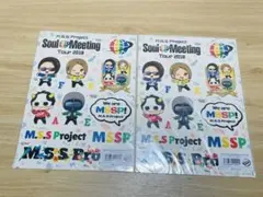 M.S.S Project Soul Meeting Tour 2018