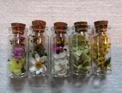 ミニフラワーボトル　５点　ドライフラワー　春色　ナチュラル