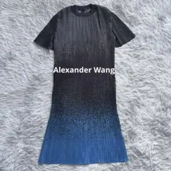 2026年最新】Alexander Wang レディース ミニワンピースの人気アイテム