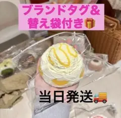 新品】 BloomingJapan マンゴーアイスボウル スクイーズ - メルカリ