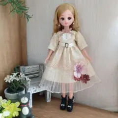 アウトフィット290のサムネイル