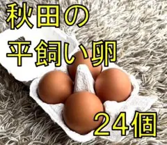 秋田の平飼い卵24個