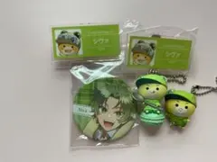 カラピチ　シヴァ 缶バッジ 名札 チャームセット③