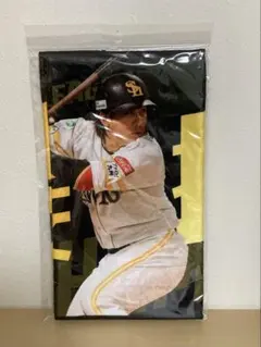 甲斐拓也 応援タオル