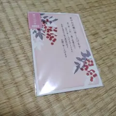 ACTIVE CORPORATION 寒中見舞いはがき 南天のサムネイル