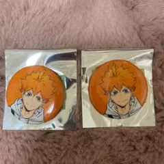 日向翔陽 缶バッジ 東武動物公園