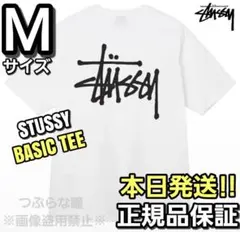 ステューシー STUSSY BASIC TEE ホワイト Mサイズ