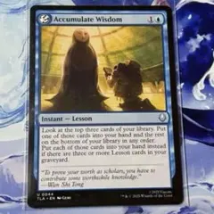 積み重ねられた叡智/Accumulate Wisdom