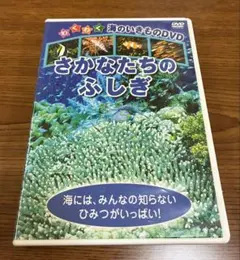 わくわく海のいきものDVD さかなたちのふしぎ