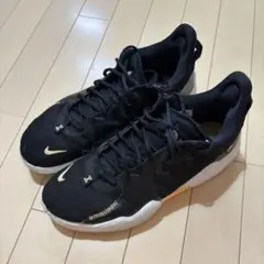 NIKE PG 5 ブラック ホワイト スニーカー 27cm - メルカリ