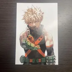 はるにゃん@プロフ確認してね(=^x^=様 リクエスト 2点 まとめ商品