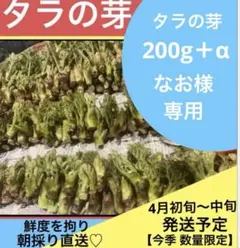 【なお様専用】　タラの芽200g＋α