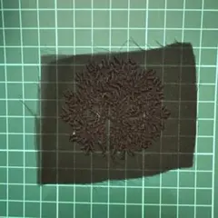 Item thumbnail for item 5eb4ef8e-0a8c-4389-8dd6-33e0714b3d8f