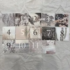 ニューボーンフォト・月齢フォト 12枚セット