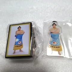 Item thumbnail for item 35a08d14-8330-49a0-9b8d-056d2a7f4e19