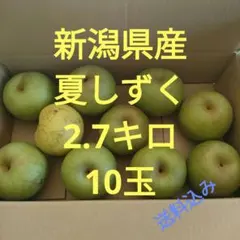新潟県産　夏しずく10玉2.7キロ　梨　なし　果物のサムネイル