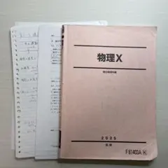 駿台 2025 後期 物理X(前期、後期)物理の総合研究 駿台 物理X 2025前期後期 - メルカリ