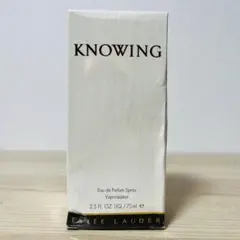 2026年最新】エスティローダー knowingの人気アイテム - メルカリ
