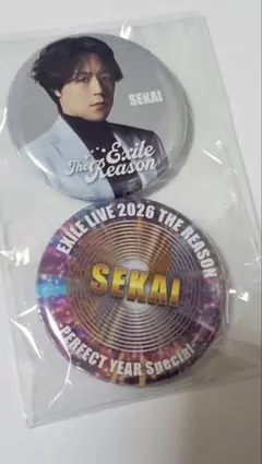 EXILE　世界　缶バッジ2個セット