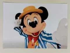 ディズニー 写真セット バラ ミッキー