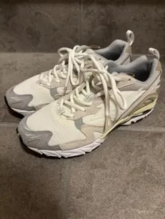 お値下げしました！ミズノ スニーカー WAVE RIDER 10 25.5cm