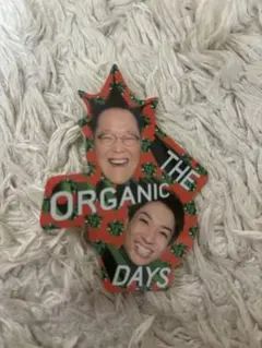 【新品】アインシュタインステッカー　THE ORGANIC DAYS