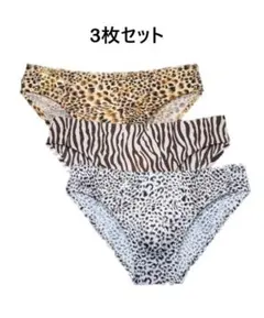 Item thumbnail for item 0153b2e2-3e87-4e68-95be-210e808d8c72