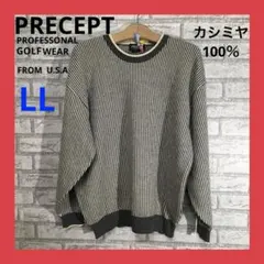PRECEPT カシミヤ100％ 長袖ニット メンズ LL ストライプ柄