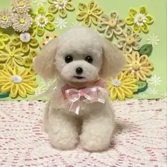 羊毛フェルト トイプードル アプリコットさん【伏せポーズ】 - メルカリ