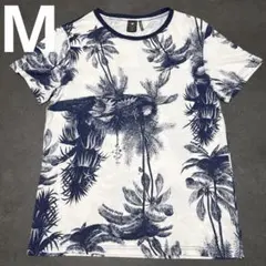 Item thumbnail for item 237324c3-98cf-42df-b760-f0e05205b4d1