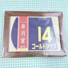 タイトルホルダー　天皇賞春　額入りミニゼッケン タイトルホルダー 天皇賞春 額入りミニゼッケン - メルカリ