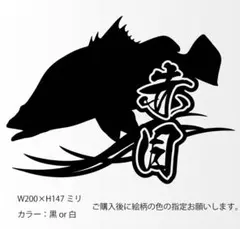 新品未開封】スイカヘルメット 出川哲朗トレードマーク - メルカリ
