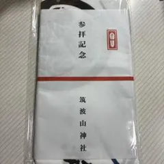 Item thumbnail for item cb56671b-d941-4c01-809f-b5357641cf7a