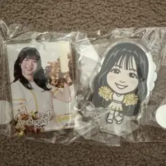 ソフトバンクホークス ハニーズ honeys 若鷹ガチャ 秋花 アクスタ