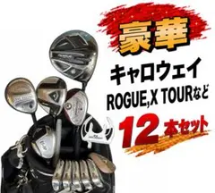 2026年最新】daiwa ad-f1の人気アイテム - メルカリ