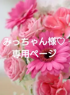 みっちゃん様♡専用ページ.。.:*♡✿ฺ
