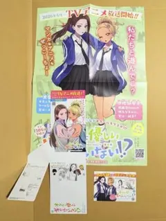 はじめてのギャル ポスター【2017年8月付録】 - メルカリ